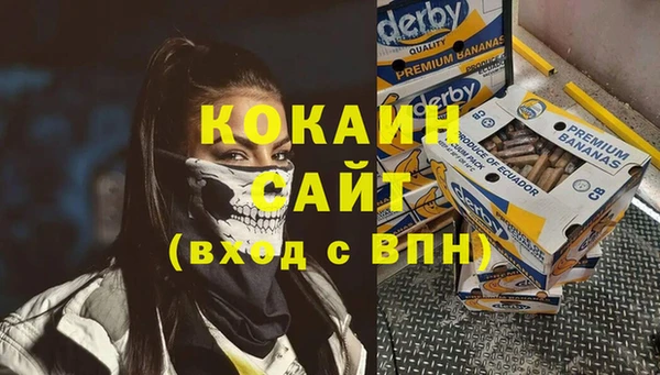 ешки Алзамай
