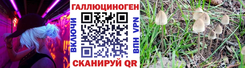 Галлюциногенные грибы Psilocybine cubensis  блэк спрут рабочий сайт  Киров 