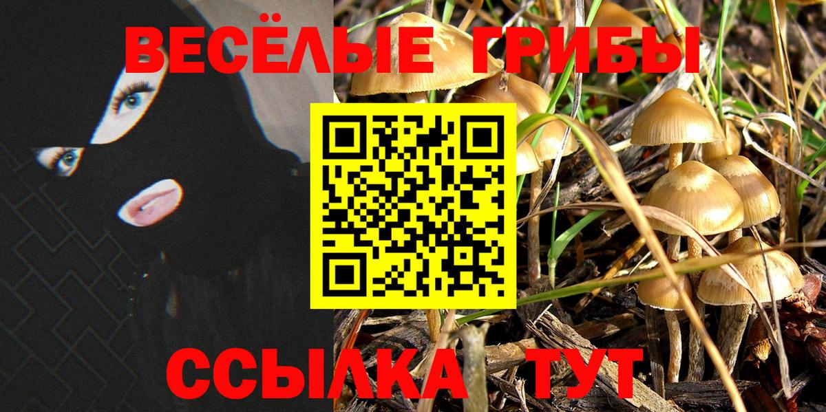 Киров  Галлюциногенные грибы Psilocybine cubensis  дарнет шоп  Вход с VPN 