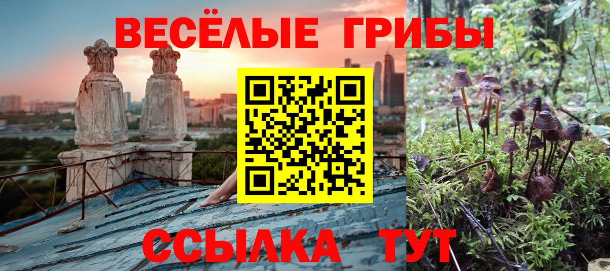 Марихуана Киров