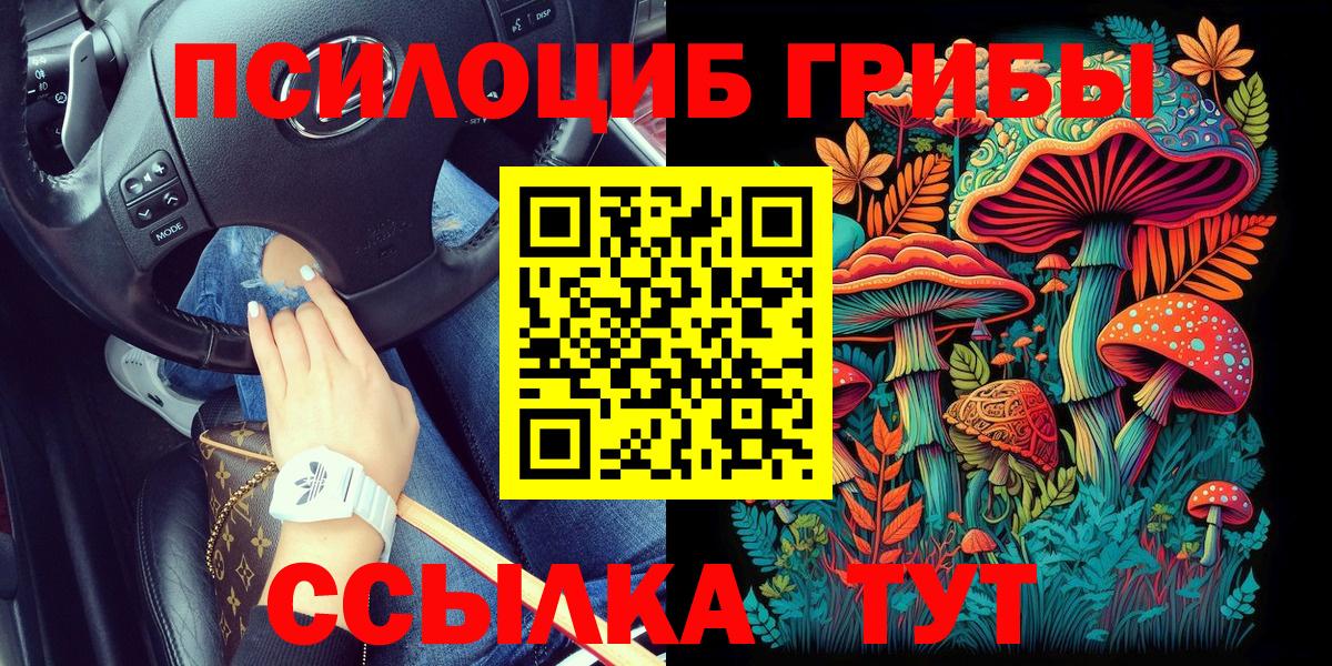 Псилоцибиновые грибы мухоморы Киров