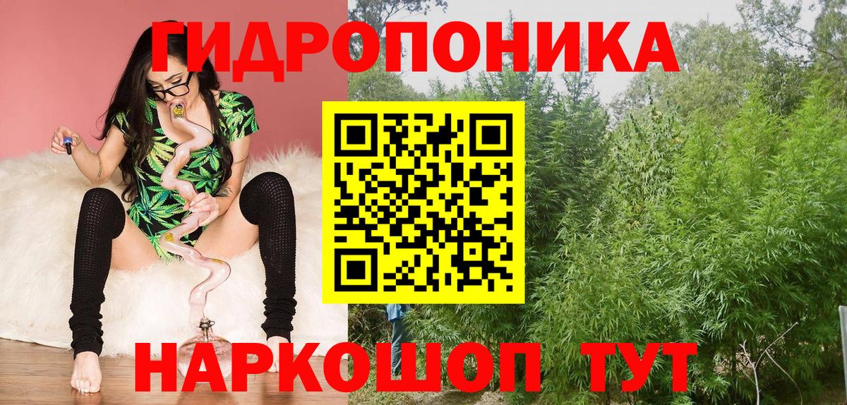 Шишки марихуана AK-47 Киров